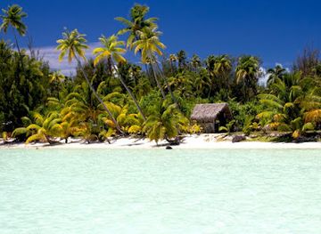 french-polynesia/bora-bora/attraction/tanoa-private-tour-boat-snorkeling-excursions-lagoon-bora-bora