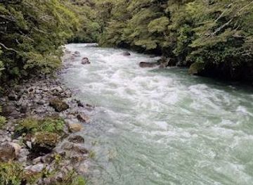 new-zealand/milford-sound/attraction/lake-marian-track-swing-bridge