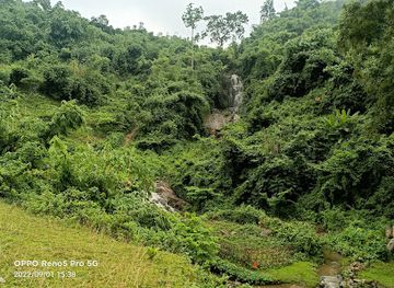 india/assam/attraction/bhalukjuri-waterfall