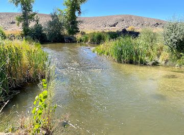 nevada/walker-lake/attraction/walker-river-state-recreation-area