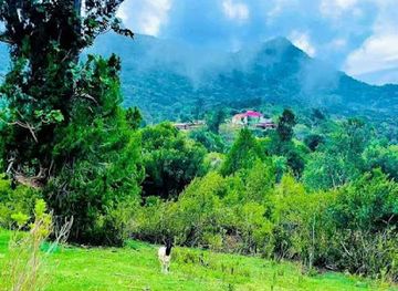 somalia/shimbiris-mountain/attraction/buurta-daallo