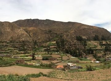 peru/junin/attraction/zoo-zhaveta-yard