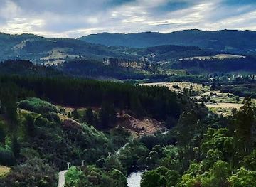 chile/araucania-region/attraction/puente-malleco