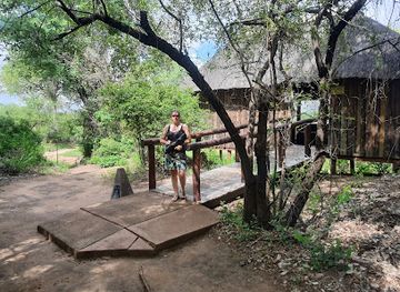 south-africa/kruger-national-park/attraction/bateleur-bushveld-camp