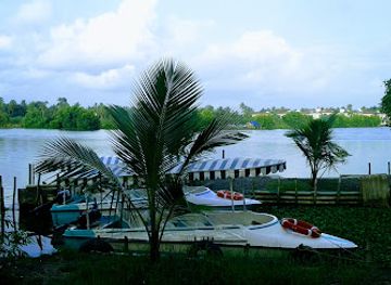 india/kerala-backwaters/attraction/lake-bay-cruises-backwater-boating