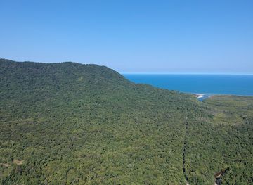 australia/daintree-rainforest/attraction/daintree-entomological-museum