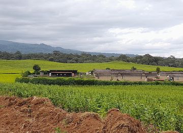 kenya/mount-kenya-region/attraction/gitaraka-kerugoya-kenya