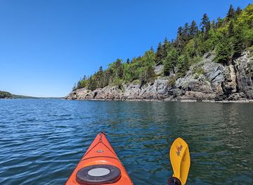 maine/downeast/attraction/coastal-kayaking-tours-inc