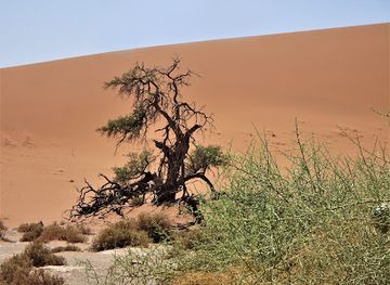 namibia/spitzkoppe/attraction/hidden-vlei