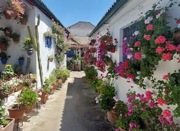 spain/cordoba/santa-marina/attraction/patios-de-cordoba-vive-la-experiencia