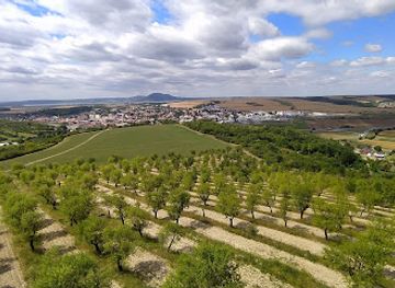 czechia/palava/attraction/mandlonove-sady