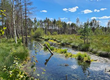 estonia/laane-virumaa/attraction/margala-taastamine