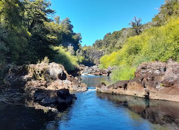 chile/los-rios-region/attraction/parque-neltume-salto-del-huilo-huilo