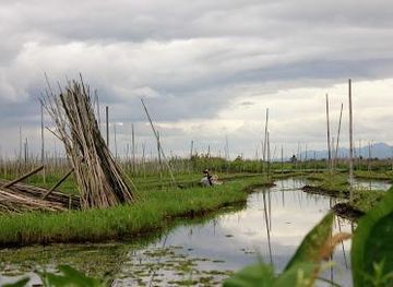 myanmar-burma/inle-lake/attraction/floating-gardens-of-inle-lake