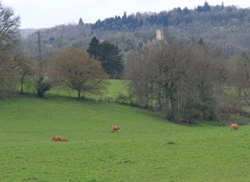 france/limousin/attraction/chateau-de-chalucet