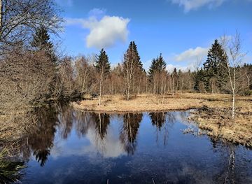 germany/monschau/attraction/palsen-die-zwei-leben-der-torf-mosaikjungfer
