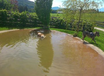 austria/flachgau/attraction/gut-aiderbichl-henndorf