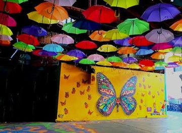 california/berkeley/attraction/umbrella-alley-san-francisco