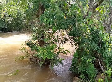 cameroon/ngaoundere/attraction/rapide-de-dang