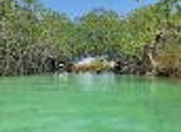 mexico/tulum/attraction/laguna-tours-muyil