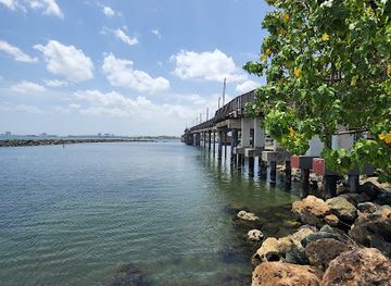 puerto-rico/dorado/attraction/wood-bridge