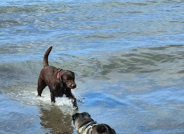 italy/maremma/attraction/spiaggia-della-puntata