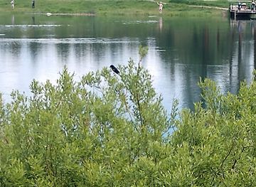 montana/flathead-lake/attraction/leisure-island-park