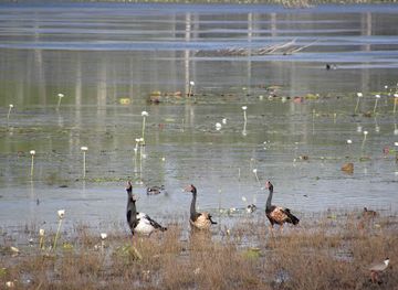 australia/kakadu-national-park/attraction/gungarre-walk