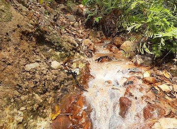 dominica/saint-david/attraction/sulphur-pool-and-waterfall