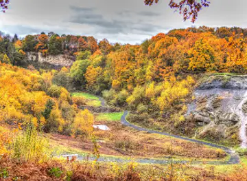 Saltwells Local Nature Reserve
