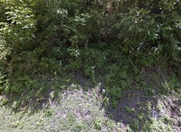 bhutan/trongsa-district/attraction/tongjaan