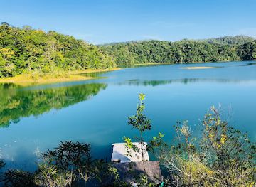 mexico/lacandon-jungle/attraction/naha-ecoturismo