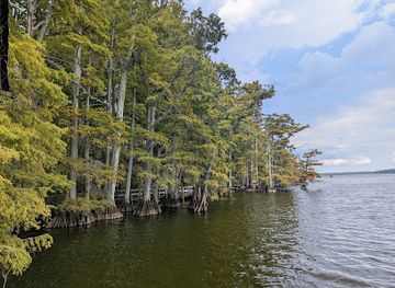 tennessee/west-tennessee/attraction/reelfoot-lake-state-park