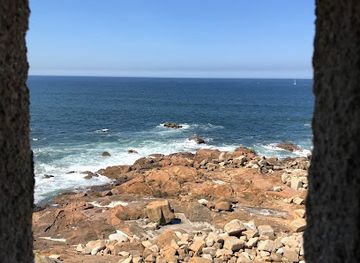 portugal/beira-litoral/attraction/sea-life-centre-porto