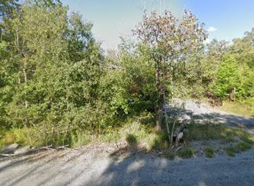 west-virginia/dolly-sods-wilderness/attraction/little-canaan-wildlife-management-area