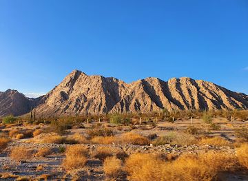 arizona/sonoran-desert/attraction/el-pinacate-y-gran-desierto-de-altar