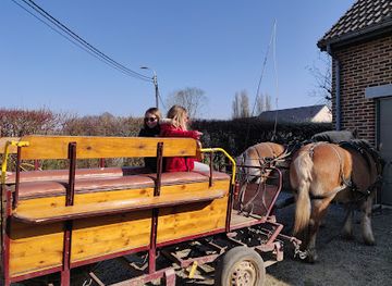 belgium/condroz/attraction/relais-d-houchenee-caleche