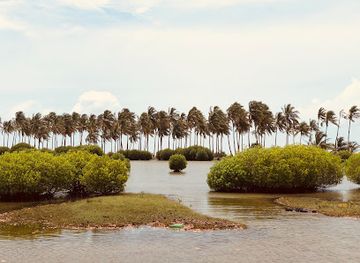 sri-lanka/puttalam-district/attraction/kudawa-beach-kalpitiya