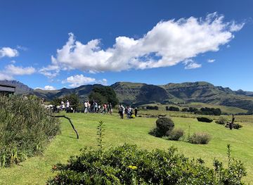 south-africa/drakensberg/attraction/falcon-ridge-bird-of-prey-centre