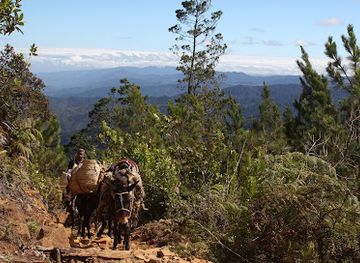 dominican-republic/cordillera-central/attraction/jarabacoa-eco-adventures