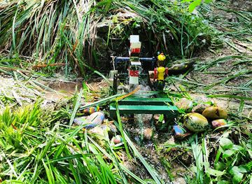 germany/freiburg/attraction/sagemannle