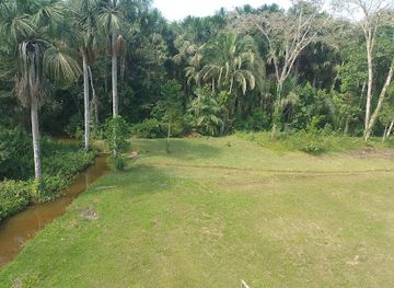 peru/tambopata-national-reserve/attraction/don-aguaje