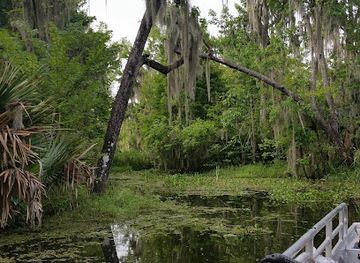 louisiana/houma/attraction/annie-miller-s-swamp-tours-charters