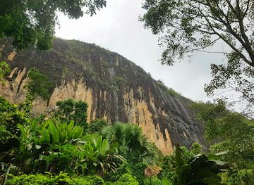 sri-lanka/kalutara-district/attraction/pahiyangala