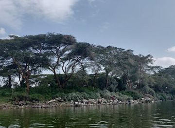 kenya/north-eastern-province/attraction/lake-naivasha