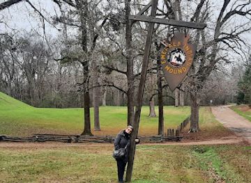 mississippi/natchez/attraction/emerald-mound
