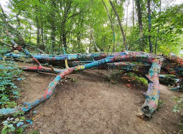 michigan/northern-michigan/attraction/hippie-tree