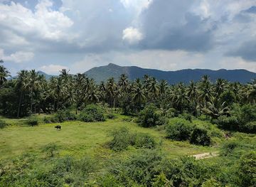 india/tamil-nadu/attraction/eastern-ghats