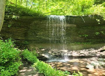 tennessee/fall-creek-falls-state-park/attraction/fall-hollow-falls