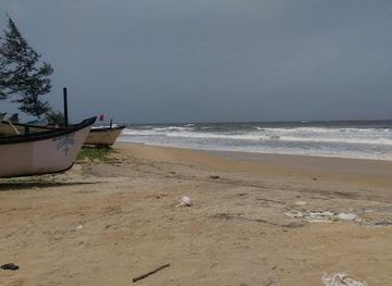 india/panaji/attraction/benaulim-beach